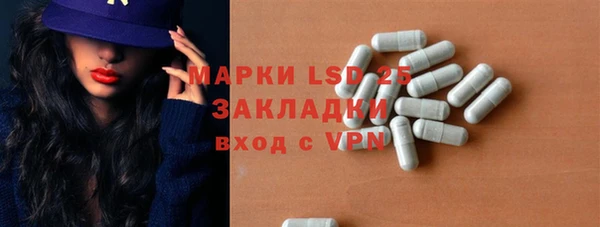 ГАЛЛЮЦИНОГЕННЫЕ ГРИБЫ Баксан