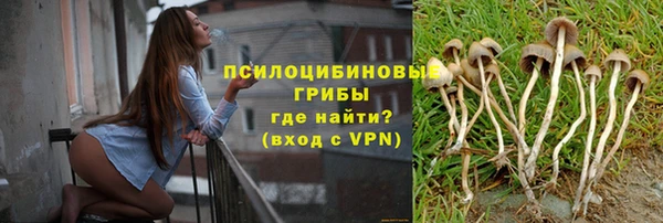 дживик Белоозёрский