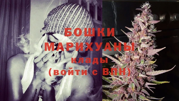 дживик Белоозёрский