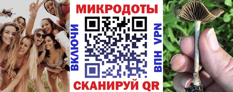Псилоцибиновые грибы мухоморы где найти Соль-Илецк