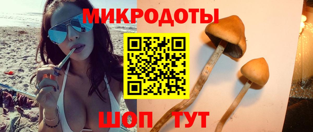 Псилоцибиновые грибы мухоморы  Галлюциногенные грибы MAGIC MUSHROOMS  Соль-Илецк  Вход с VPN 